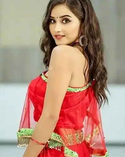 Call Girls Service Sidlaghatta